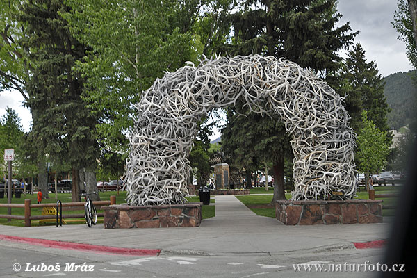 Elk Antler Arches, Jackson, USA (Wyoming, USA)