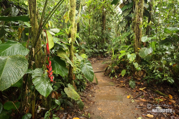 Galápagos