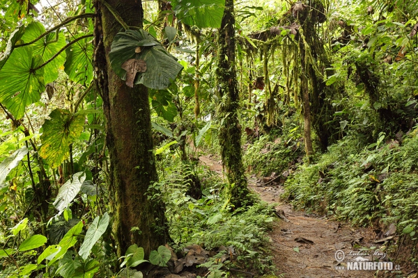 Galápagos-eilande