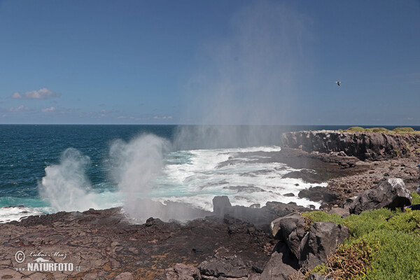 Galápagos Islands (Galapagy)