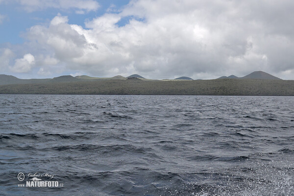 Galápagos Islands (Galapagy)