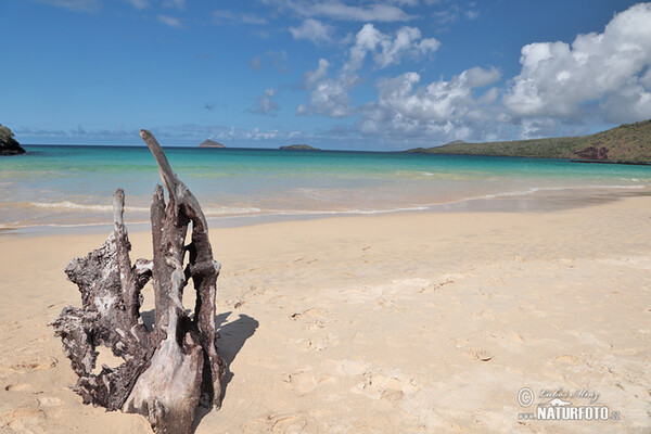 Galápagos Islands (Galapagy)