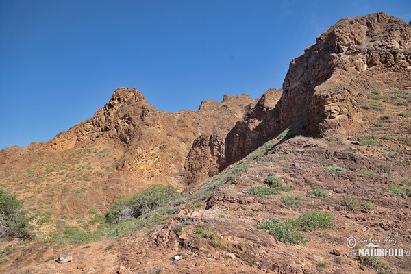 Galápagos Islands (Galapagy)