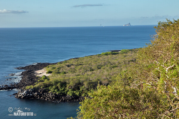 Galápagos Islands (Galapagy)