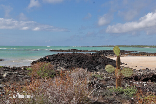 Galápagos Islands (Galapagy)