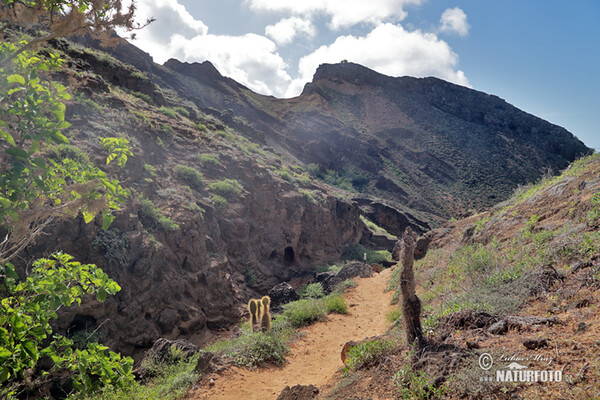 Galápagos Islands (Galapagy)