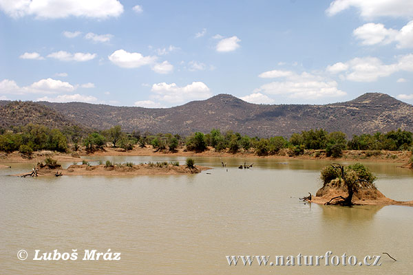 Güney Afrika