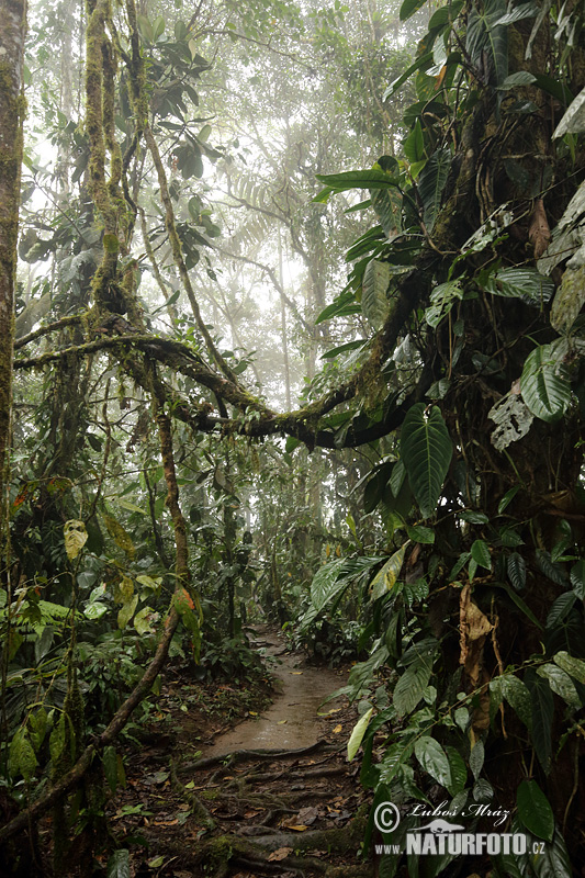 Illes Galápagos