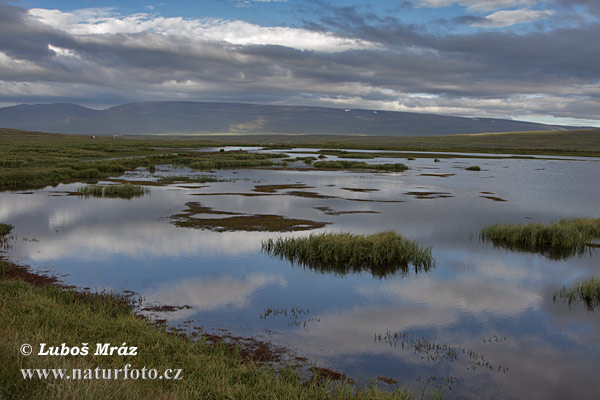 Islande