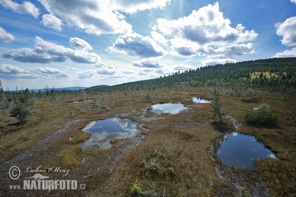 Jizerské hory Mts. (Jiz)