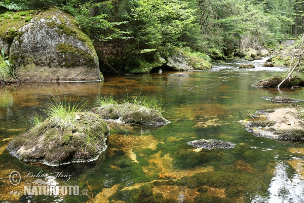 Jizerské hory Mts. (Jiz)