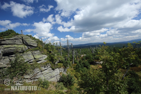 Jizerské hory Mts. (Jiz)