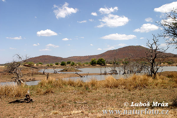 Suider-Afrika