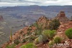 Arizona, USA