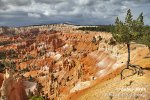 Bryce Canyon