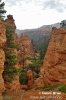 Bryce Canyon