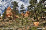 Bryce Canyon