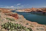 Colorado river