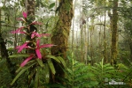 Insulele Galápagos