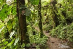 Kepulauan Galápagos