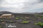 Lanzarote, Canary Islands