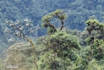 Îles Galápagos