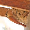 Narrow-billed Woodcreeper