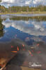 Novohradské hory-Mlýnský Pond