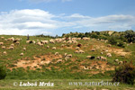 Republik Makedonia