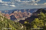 USA - Arizona