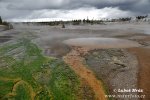 Yellowstone, Geysers