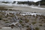 Yellowstone, Geysers