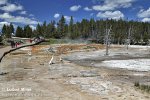 Yellowstone, Geysers