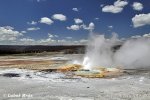 Yellowstone, Geysers