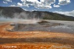 Yellowstone, Geysers