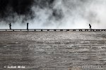 Yellowstone, Geysers