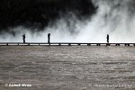 Yellowstone, Geysers