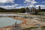 Yellowstone, Geysers