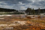 Yellowstone, Geysers