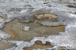 Yellowstone, Geysers