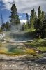 Yellowstone, Geysers