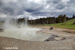 Yellowstone, Geysers