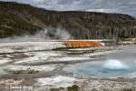 Yellowstone, Geysers