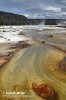 Yellowstone, Geysers