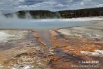 Yellowstone, Geysers