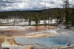 Yellowstone, Geysers