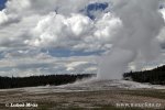 Yellowstone, Old Faithful