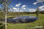 Yellowstone