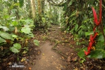 หมู่เกาะกาลาปาโกส