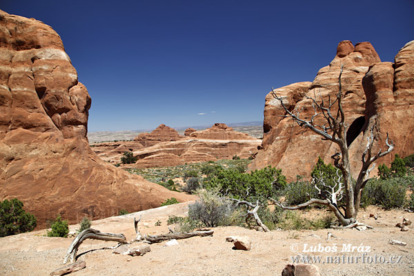 Utah, USA